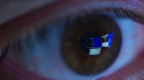 Mascus, les hommes qui détestent les femmes Bild 2