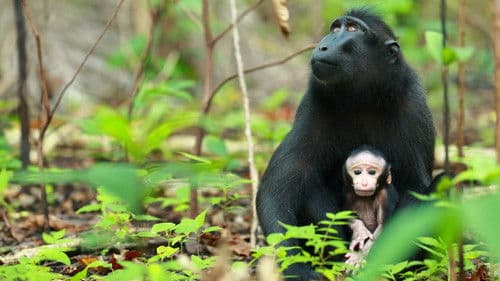 Inseln wie im Paradies Bild 4