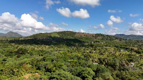 Mamá Tingó: Memoria viva de la tierra dominicana Bild 4