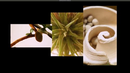 Archipiélago Bild 8