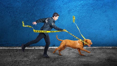 Scott & Huutsch Bild 3