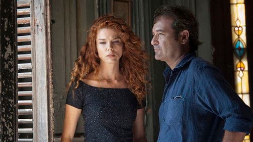 Four Seasons in Havana Bild 1