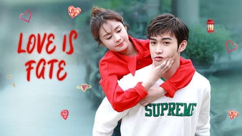 我爱你，这是最好的安排 Bild 3