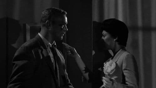 Wenn die Nacht anbricht Bild 1