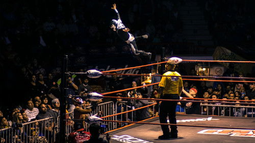 The Wrestlers Bild 3