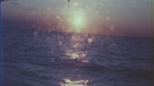 As I Was Moving Ahead, Occasionally I Saw Brief Glimpses of Beauty Bild 4