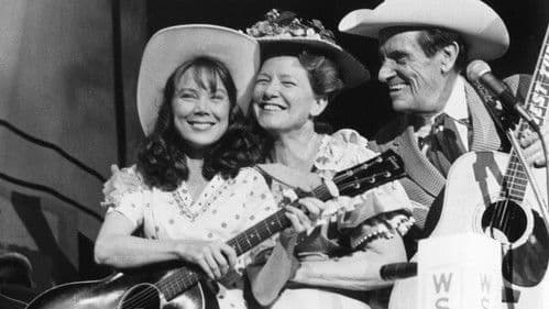 Nashville Lady Bild 4