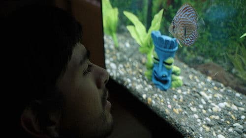 Notes from a Fish Bild 1