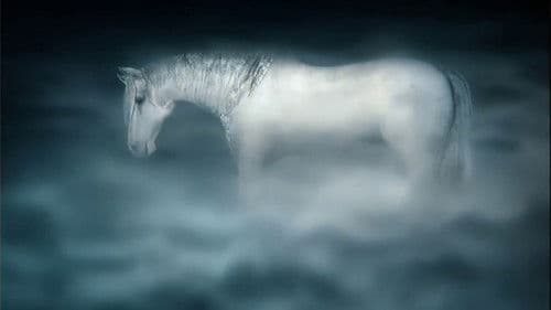 Der Igel im Nebel Bild 2