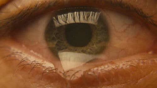 Feria: Dunkles Licht Bild 5