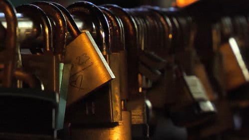 The Anthology of the Night Bild 2