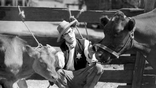 Harold, der Pechvogel Bild 8