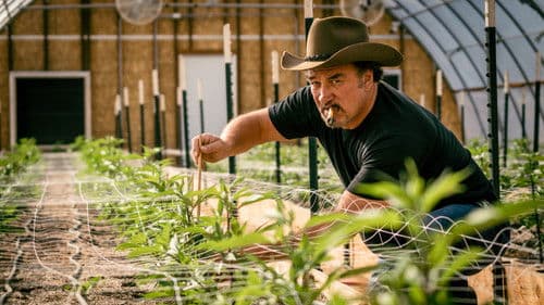 Growing Belushi Bild 5