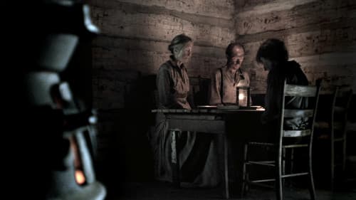 Black Canaries Bild 1