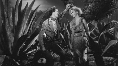 The Gay Desperado Bild 3