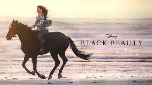 Black Beauty Bild 5