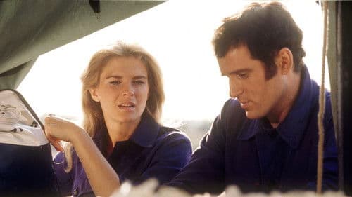 Brillanten und Kakerlaken Bild 2