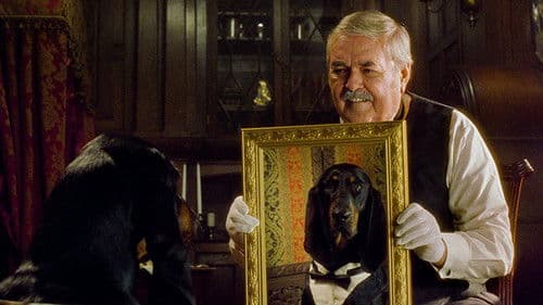 Herzog Hubert Bild 7