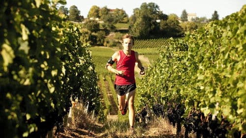 Tu seras mon fils Bild 5