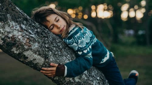 Wild und Frei Bild 2