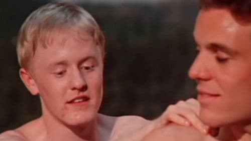 Like a Brother Bild 4