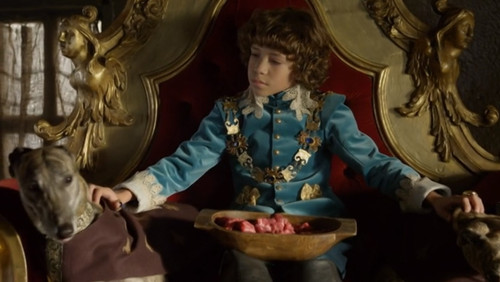 Im finsteren Walde Bild 6