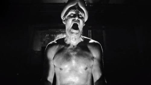 Night of the Living Dicks Bild 1