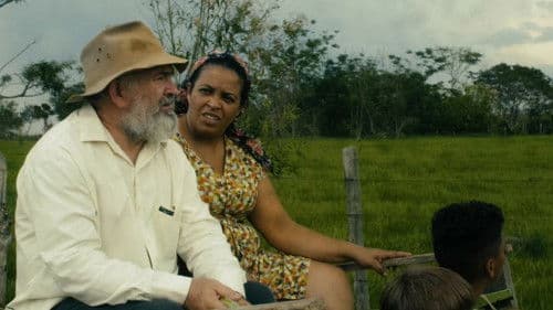 Irmãos de Sangue Bild 6