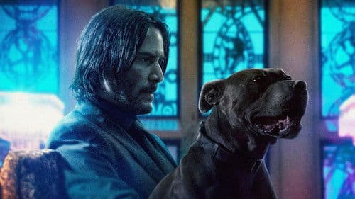 John Wick: Kapitel 3 Bild 5
