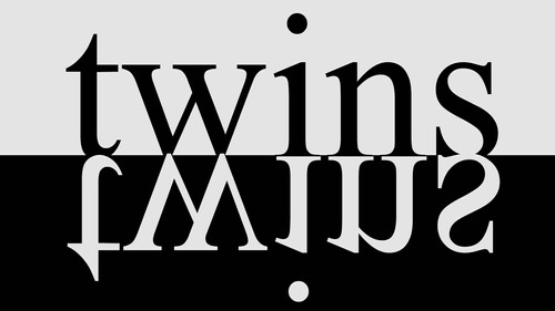 Twins Bild 1