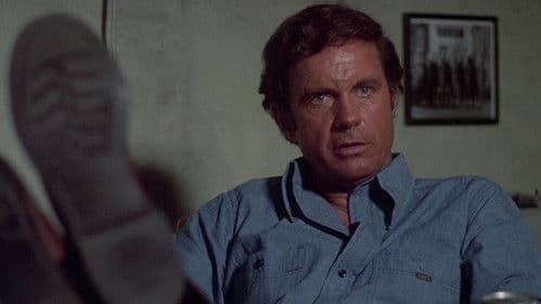 Man on a Swing Bild 1