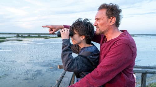 Der Junge und die Wildgänse Bild 2