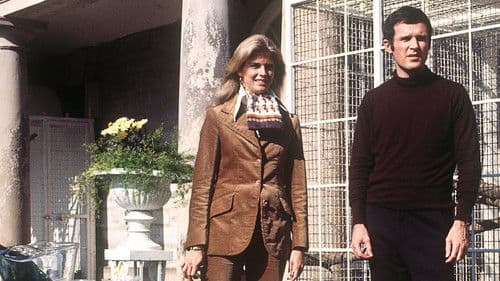 Brillanten und Kakerlaken Bild 1