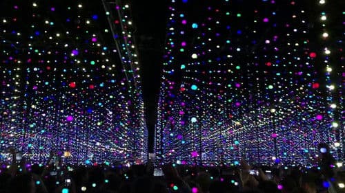 Everything Ecstatic Bild 1