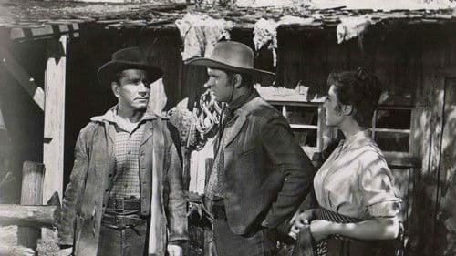 Gier nach Gold Bild 2