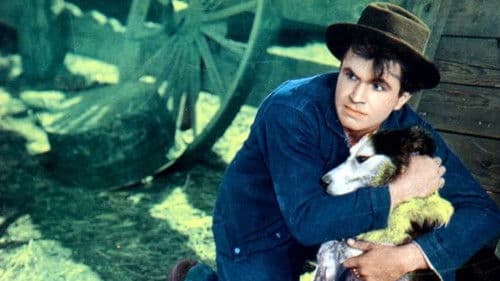 The Mighty Treve Bild 1