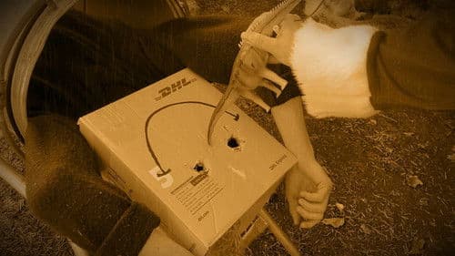 The Curious Case of Humble Lane Bild 2