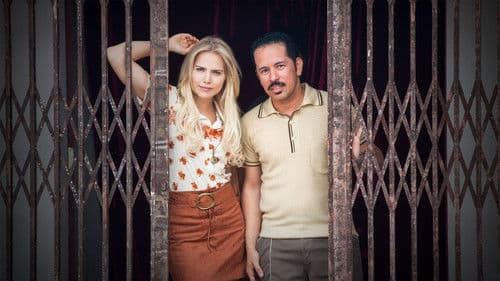 Cine Holliúdy: A Série Bild 2