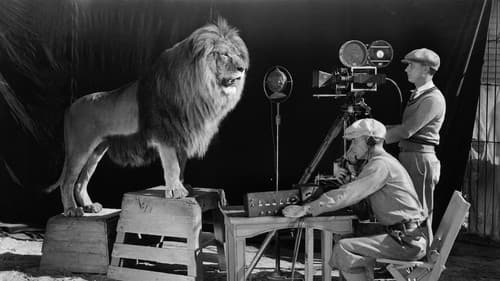 MGM: When the Lion Roars Bild 4