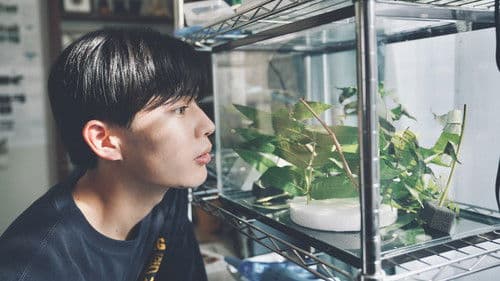 恋に至る病 Bild 3