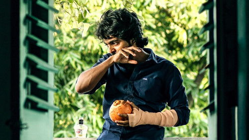 பேச்சுலர் Bild 2