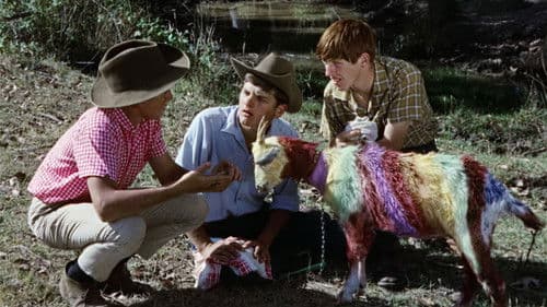 Funny Things Happen Down Under Bild 1