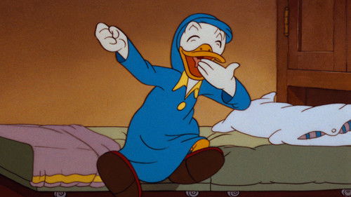 Schlafstörungen Bild 4