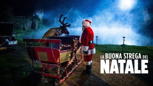 The Good Witch of Christmas Bild 4