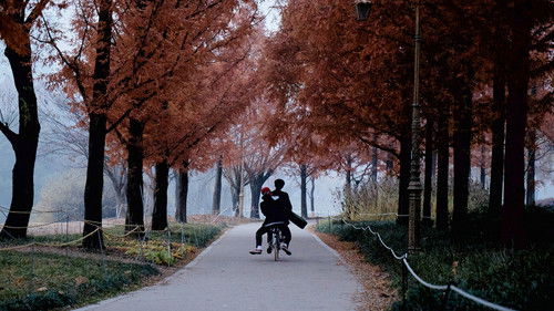 따라 바람 Bild 6