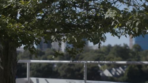 The City He Forgets Bild 1