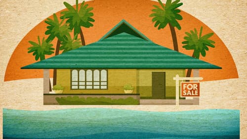 Beachfront Bargain Hunt Bild 5