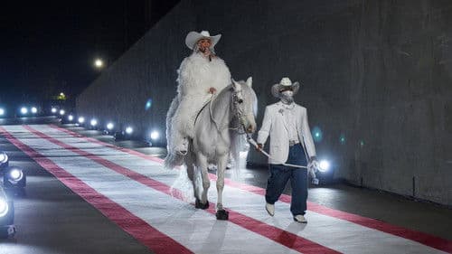 Beyoncé Bowl Bild 6