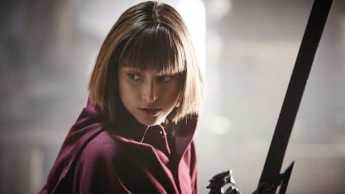 Die letzte Drachentöterin Bild 1