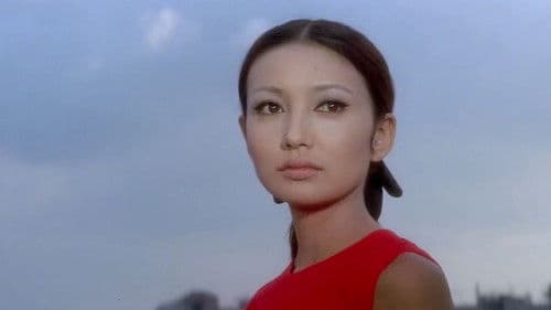 紅の流れ星 Bild 4